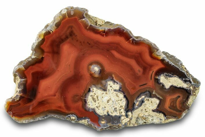 Colorful, Polished Condor Agate - Argentina #277697